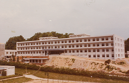 완공된 교사 (1978)