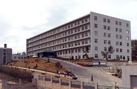 대학측면 (1981)