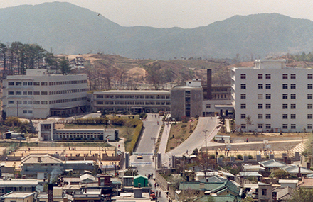 대학병원전경 (1982)